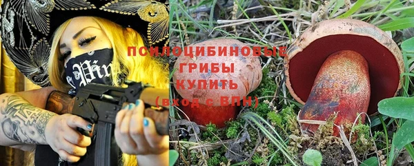 метадон Ельня