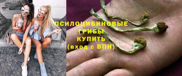 амфетамин Елизово