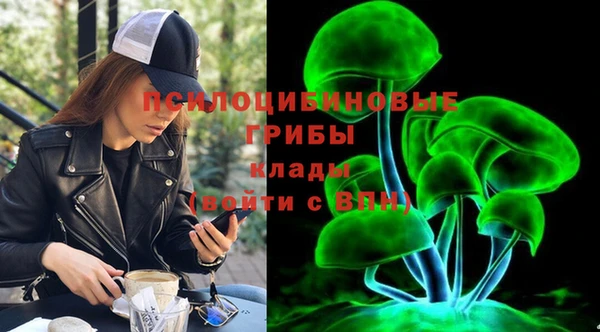 амф Заволжье