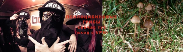 метадон Ельня